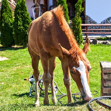 Osada Lagowek - Domek Letniskowy Do Wynajecia Dış mekan fotoğraf